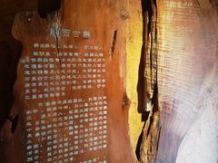 -宣科纳西古乐·非遗音乐(大水车店)