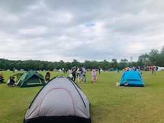 -上海海湾国家森林公园