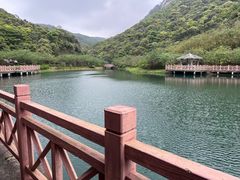-广州市流溪河国家森林公园