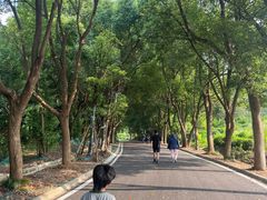 -南京市江宁方山
