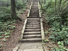 -洛阳白云山景区