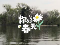 -莱西月湖公园