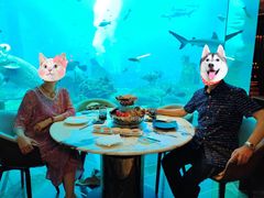 -亚特兰蒂斯•OSSIANO奥西亚诺海底餐厅