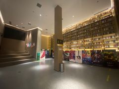 -深影国际影城(学院南路店CGS中国巨幕店)