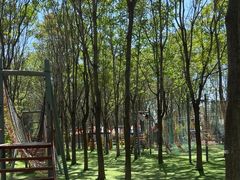 -草根堂农场