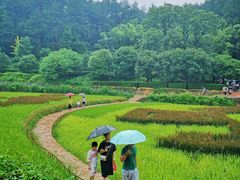 -韶山毛泽东同志故居