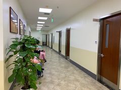 -美联众合动物医院·24h转诊中心