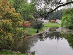 -上海共青森林公园