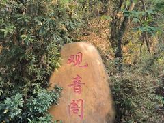 -大屏嶂森林公园