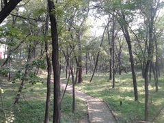 景点-淄博花灯齐彩城