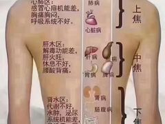 -裕和堂中医推拿艾灸(太古汇臻品店)