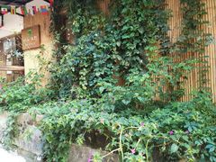 -杭州西湖风景名胜区-满觉陇四眼井