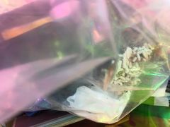 -纳吉亚猫专科动物诊疗中心(蒋宅口分院)