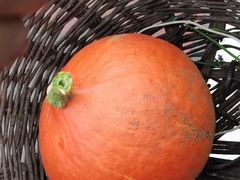 -如意农家院(胡关路店)