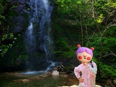-本溪汤沟绿石谷森林公园