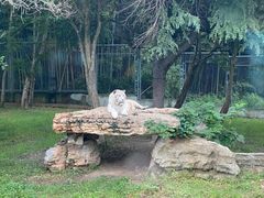 -上海野生动物园