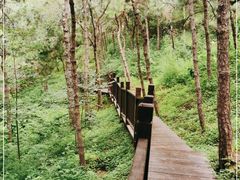 -北京十三陵国家森林公园蟒山景区