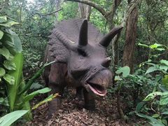 -海南热带野生动植物园