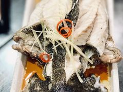 清蒸石斑鱼-堂宴·老厦门私房菜(1988仙岳总店)