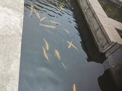 -天源渔港农庄
