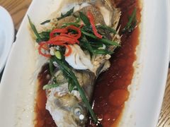 广式石斑鱼-日出青木·杭帮菜名店