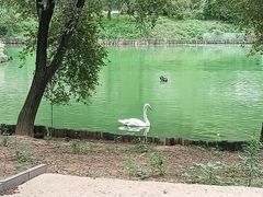 -沈阳森林动物园