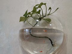 -于记麻辣香锅(步行街店)