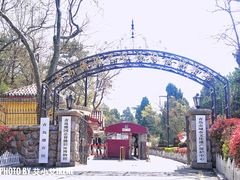 -青岛德国总督楼旧址博物馆