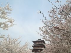 -古柏渡飞黄旅游区