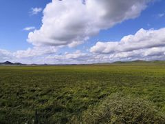 -塞罕坝国家级自然保护区