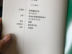 -新加坡航空公司(ION)
