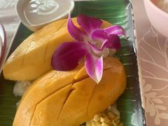 -Jungle Kitchen