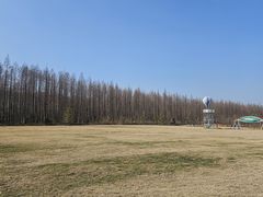 -黄海国家森林公园