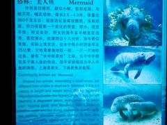 -泉城欧乐堡海洋极地世界