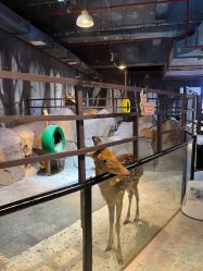 -酷嗒动物文化乐园(cutezoo西溪乐天城店)