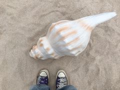 -仙海旅游度假区