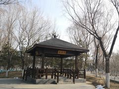 -大兴滨河森林公园