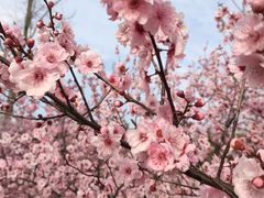 -白塘生态植物园