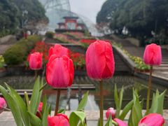 -南山植物园