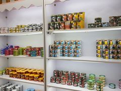 -青奢宠物·青奢猫舍