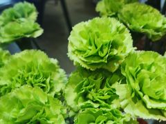 -浦江城市生活广场(江月路店)
