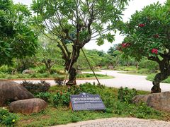 -中国科学院西双版纳热带植物园