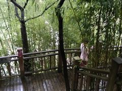 -藏龙百瀑风景区