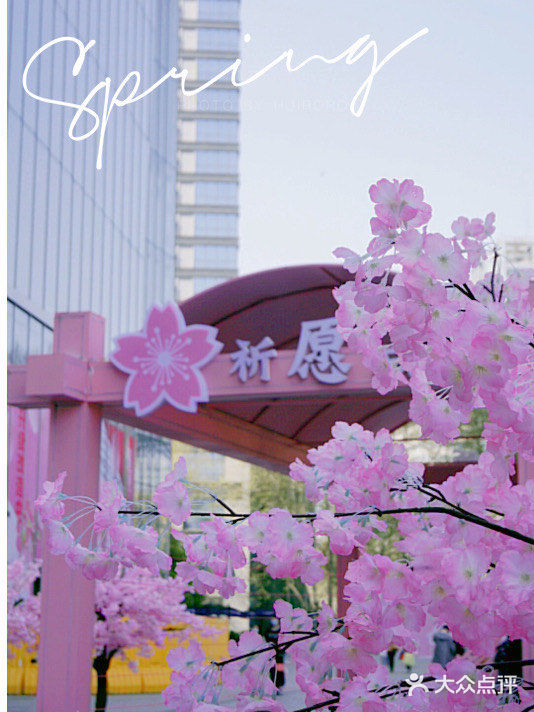 春日踏青攻略🌸｜金陵的“粉色樱花季”在金茂汇延续着…