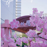 春日踏青攻略🌸｜金陵的“粉色樱花季”在金茂汇延续着…