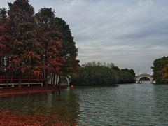 -上海海湾国家森林公园