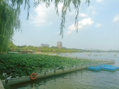 -济南大明湖景区
