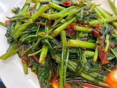 -明辉田鸡粥
