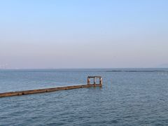 -贡湖湾湿地公园