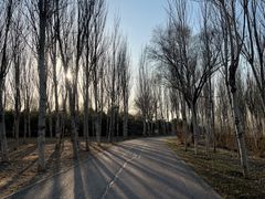 -东郊湿地公园
